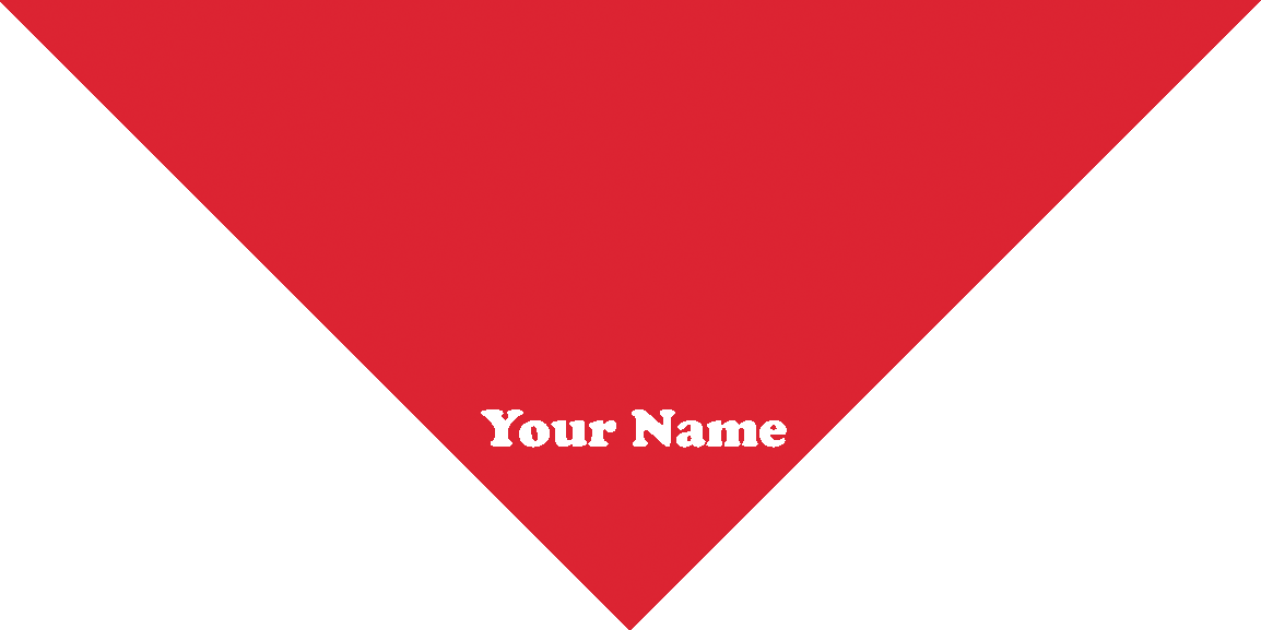 Email A Friend - Red Triangle Upside Down (1154x577), Png Download
