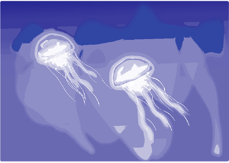 Mb Image/png - Jellyfish (800x580), Png Download