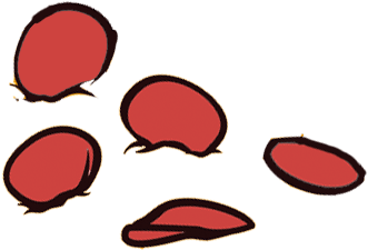 Pizza (575x350), Png Download