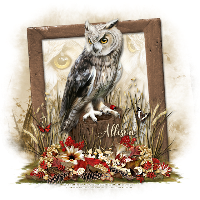 For This Next Tag I Used The Adorable Hercules Tube - Eastern Screech Owl (640x640), Png Download