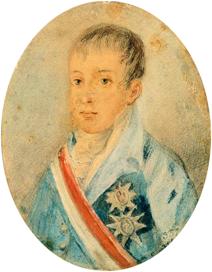 Joaquim Irmao De Dom Pedro (428x547), Png Download
