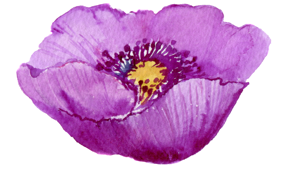 Este Gráficos Es Pintado A Mano De La Flor Morada Png - Flower (1024x672), Png Download