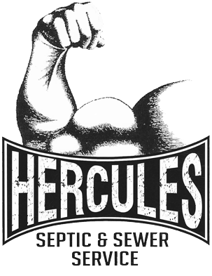Download Hercules Business - Full Size PNG Image - PNGkit
