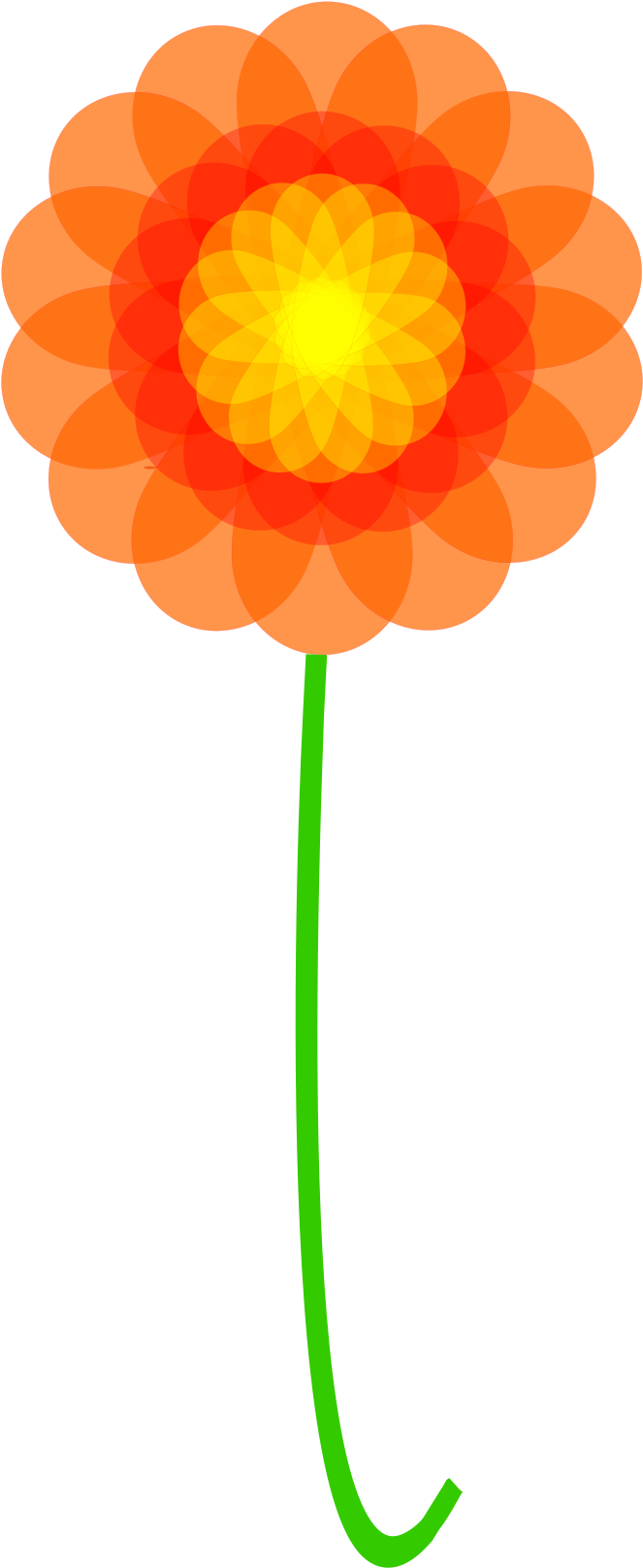 Big Image - Barberton Daisy (1697x2400), Png Download