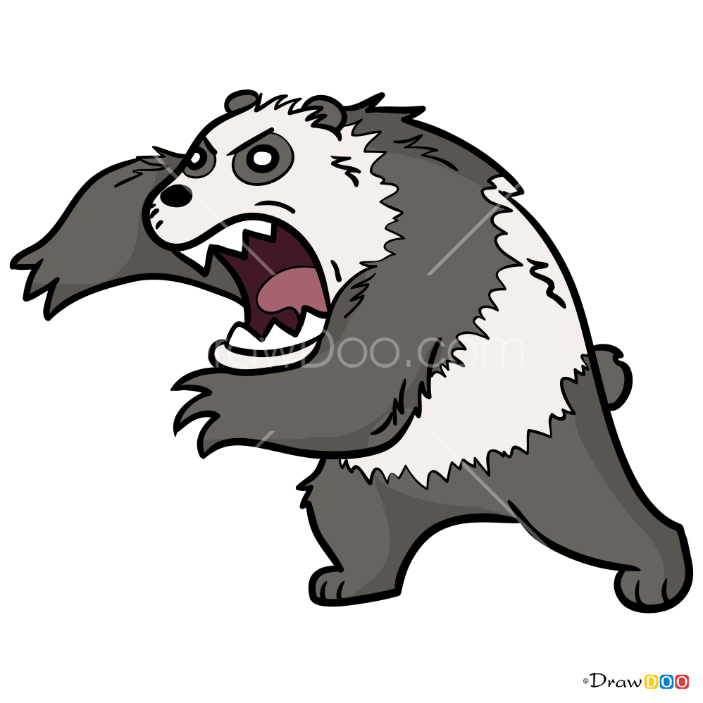 Giant Panda (998x998), Png Download