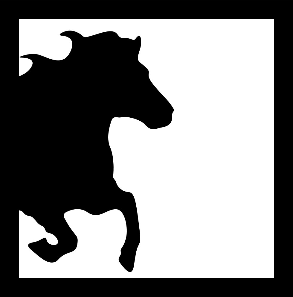 Horse Half Image Inside A Square Frame Comments - Horse (980x992), Png Download