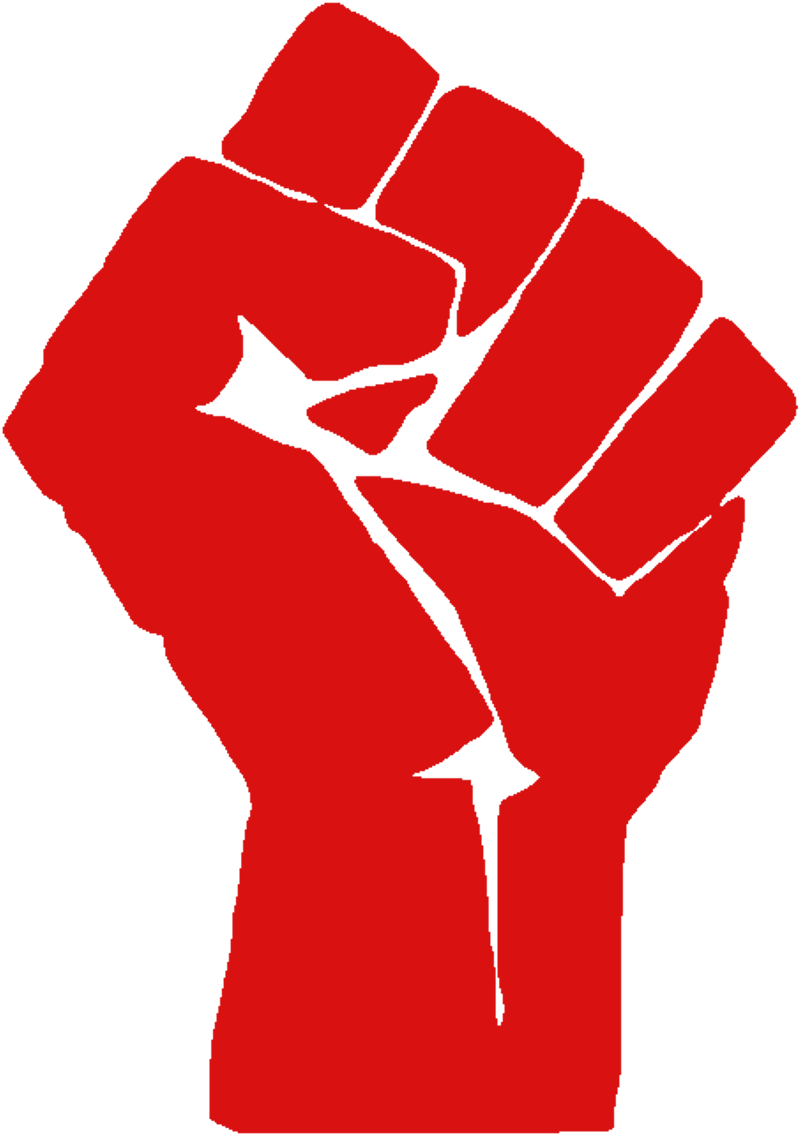 Imagen Relacionada - Symbol Of Revolution (1000x1413), Png Download