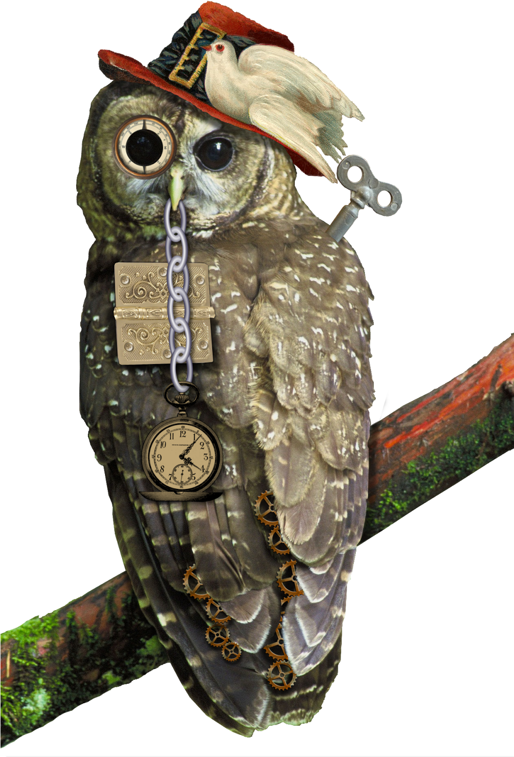 Here Is My Newest Steampunk Image - Perched Northern Spotted Owl Journal: Take Notes, Write (1052x1600), Png Download