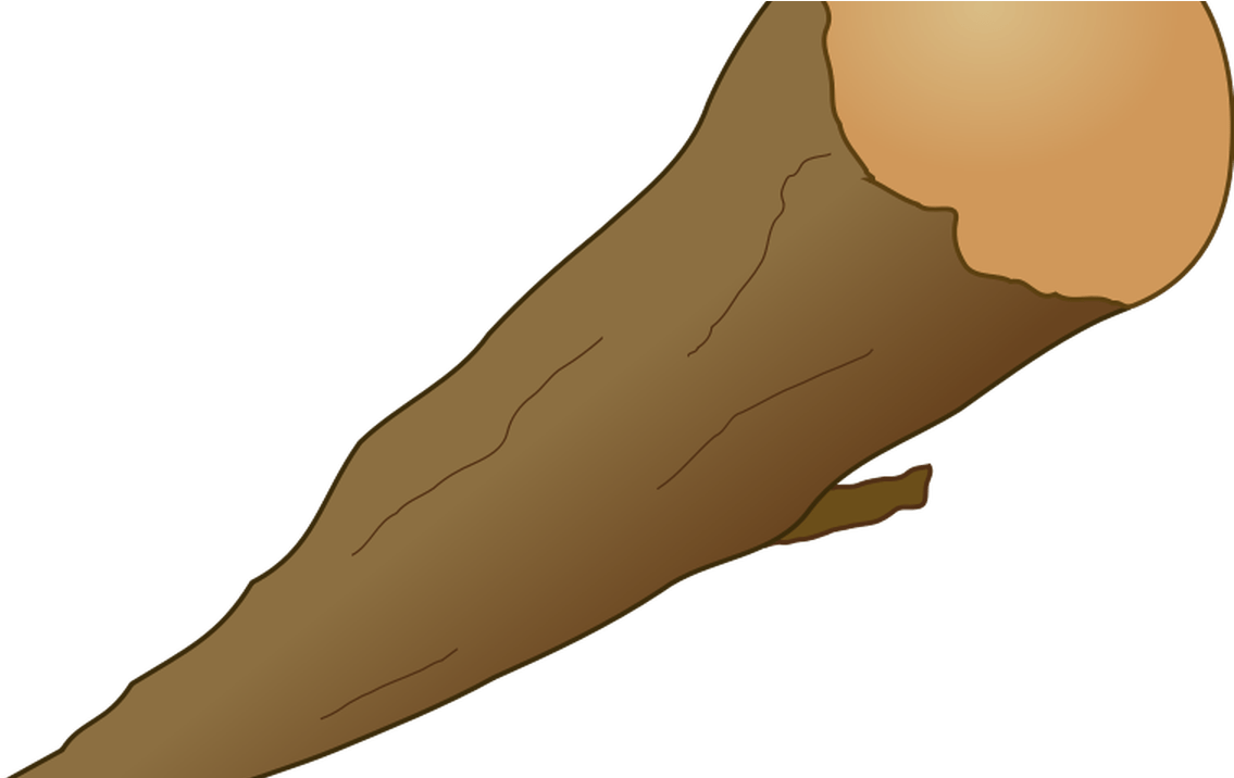 Free Cartoon Wooden Sign, Download Free Clip Art, Free - Portable Network Graphics (1200x715), Png Download