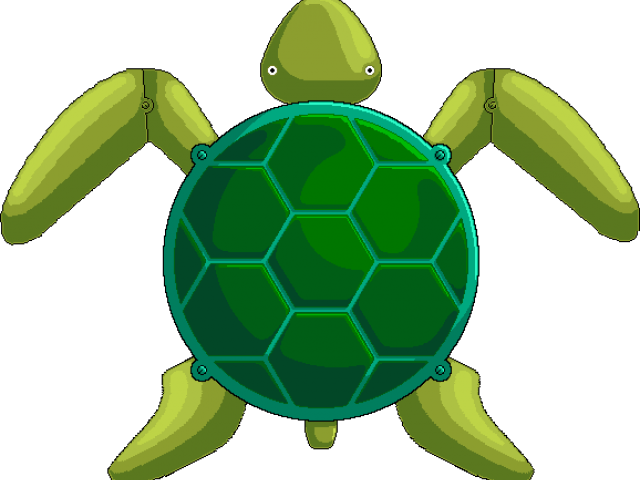 Sea Turtle Real - Turtle Body Clip Art (578x445), Png Download