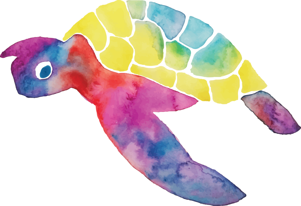 Seaturtle (1000x686), Png Download