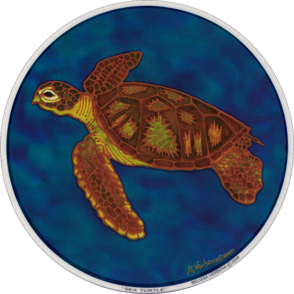 Window Sticker / Decal - Sea Turtle (1000x1000), Png Download