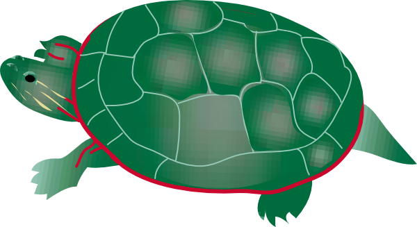 Sea Turtle Clipart Snapping Turtle - Free Clipart Of Turtle (600x327), Png Download