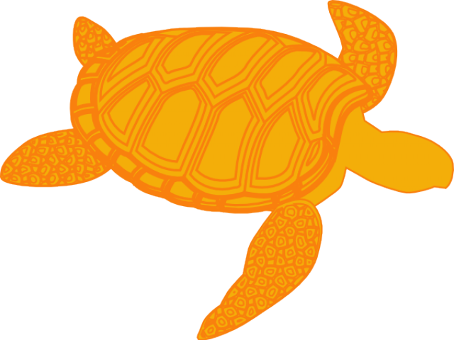 Sea Turtle Clipart Olive Ridley - Turtle Vector Png (600x451), Png Download