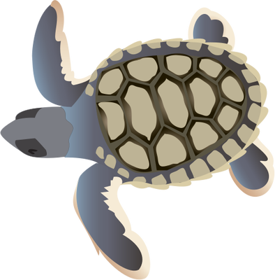 Natator Depressa - Sea Turtle Hatchling Cartoon (394x400), Png Download