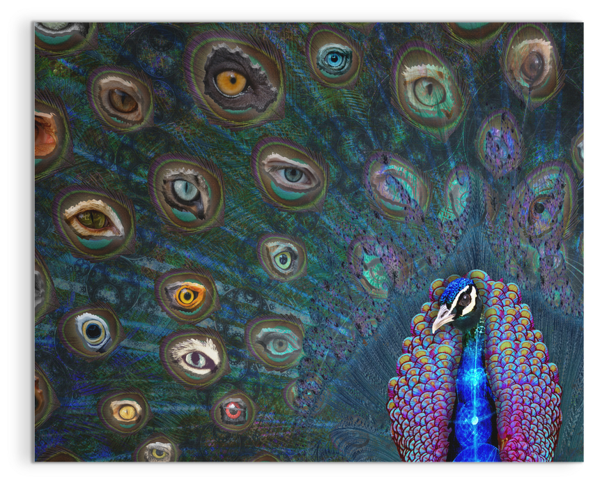 All Seeing Eye Canvas - Art (1024x1024), Png Download