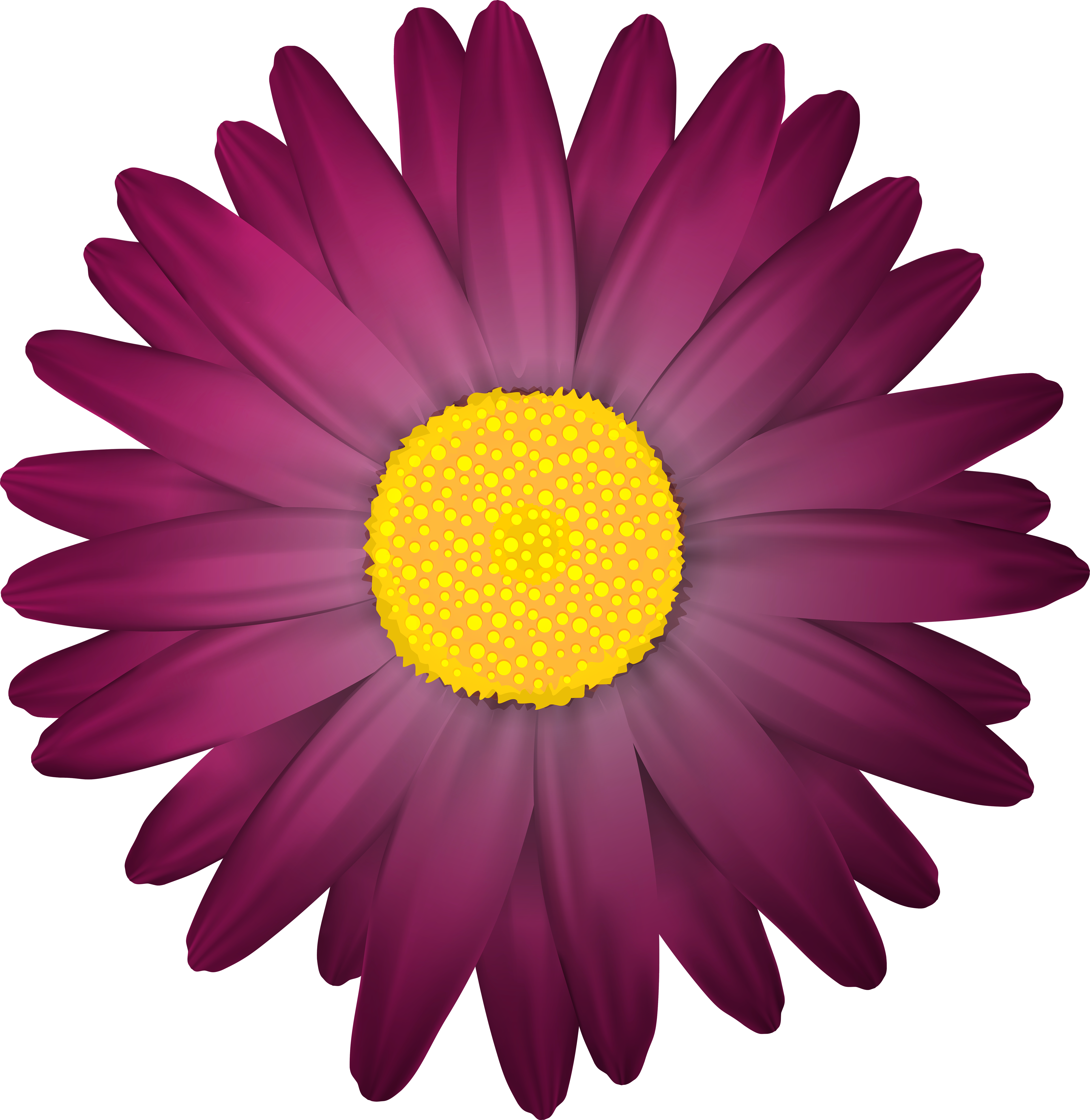 Dark Flower Transparent Png Clip Art Image - Dark Purple Flower Png (4868x5000), Png Download
