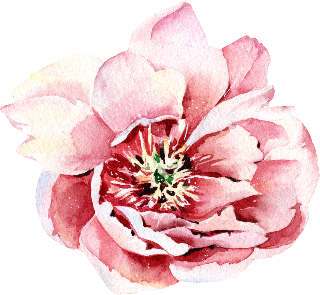 Pink Watercolor Hand Painted Flowers Transparent - Portable Network Graphics (1024x945), Png Download