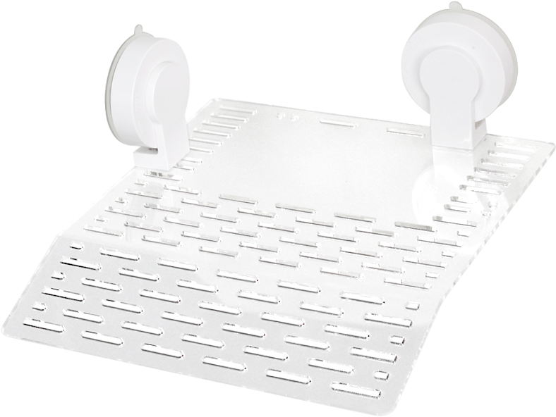Tortoise Drying Platform Climbing Platform Climbing - Trumpet (800x800), Png Download