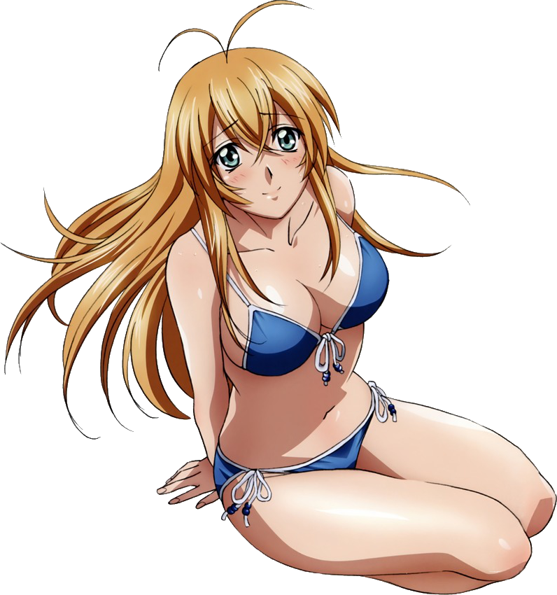 Hakufu Sonsaku Blue Bikini Render By Doublea2015-d9hxtkp - Ikki Tousen: Xross Impact (new Gentei Bakuretsu Pack) (796x850), Png Download