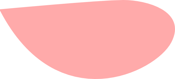 Png Sakura Petals - Cherry Blossom Petal Png (600x273), Png Download