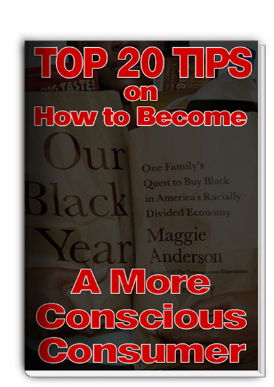 Top 20 Tips To Become A Conscious Buy Black Consumer - Our Black Year: One Family's Quest To Buy Black In (400x566), Png Download