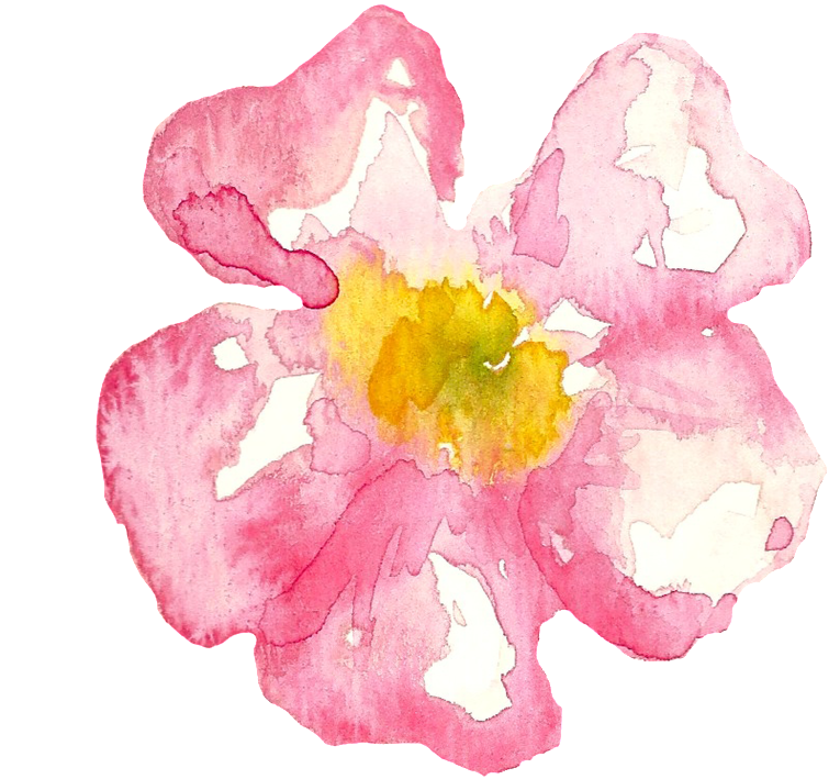 Pink Cherry Blossom Cartoon Transparent - 櫻花 卡通 (1024x947), Png Download