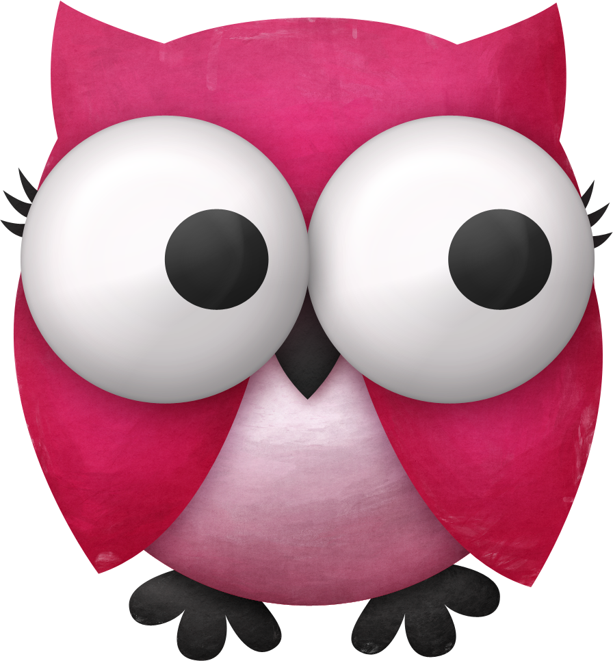 Aves & Passáros & Corujas Etc - Lekker Slaap (896x966), Png Download