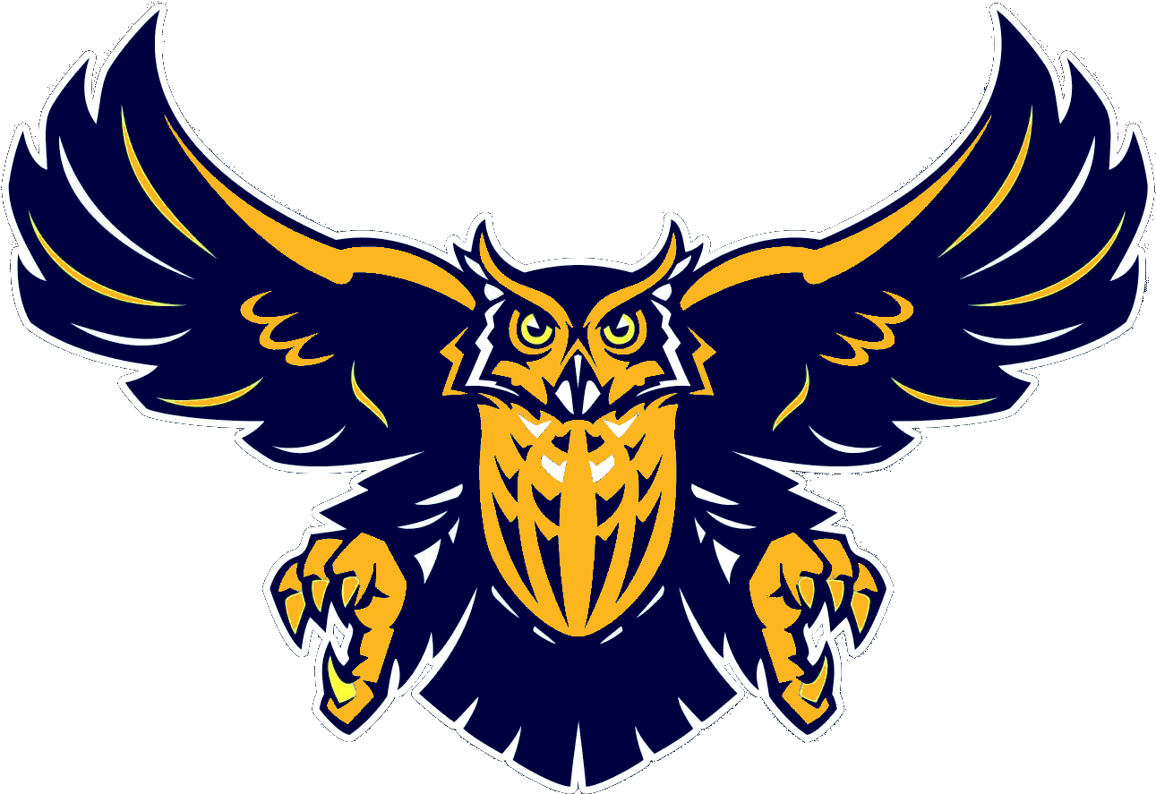 Navy Logo Clipart - Rice University Football Logo (1365x1024), Png Download