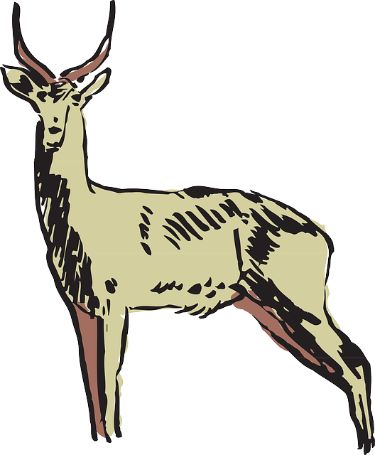 Antelope Green, Drawing, Art, Forest, Horns, Animal, - Animals Clipart (528x640), Png Download