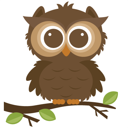 Owl - Cute Owl Clipart (432x432), Png Download