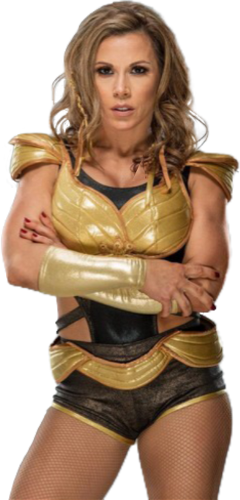 Mickiejames Wwe Randerbyme Freetoedit - Wwe Mickie James Wrestlemania (240x500), Png Download