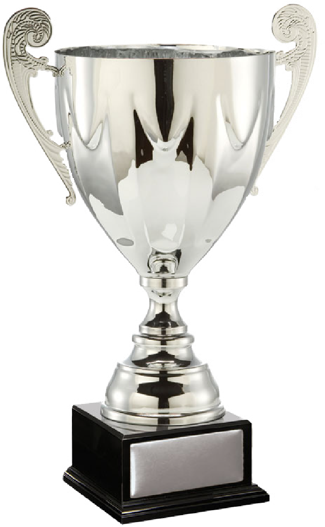 Bulk Order Discounts - Award (801x1121), Png Download