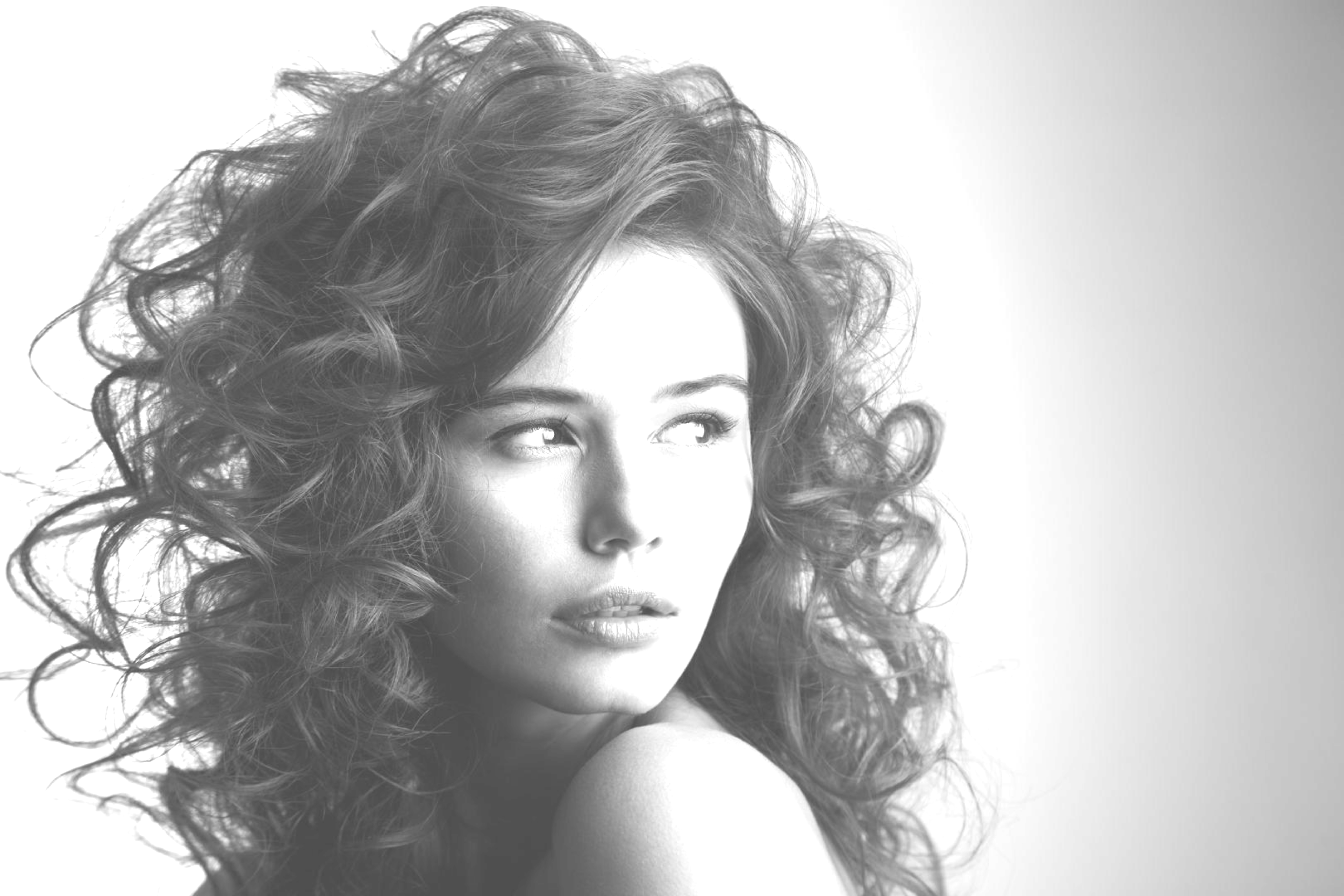 Portrait (2500x1667), Png Download