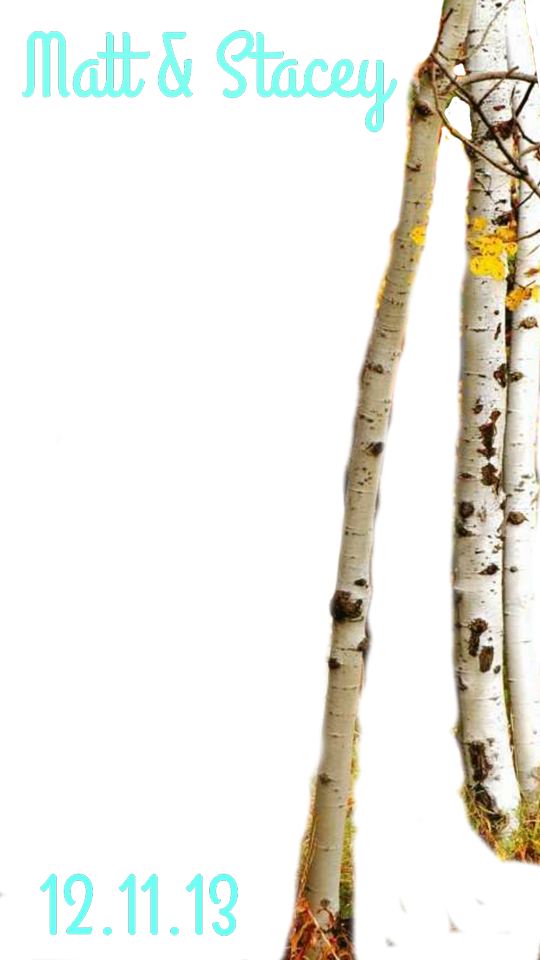 Pages - Canoe Birch (540x960), Png Download