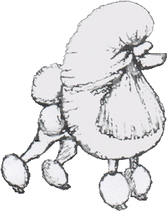 Toy Poodle (447x335), Png Download