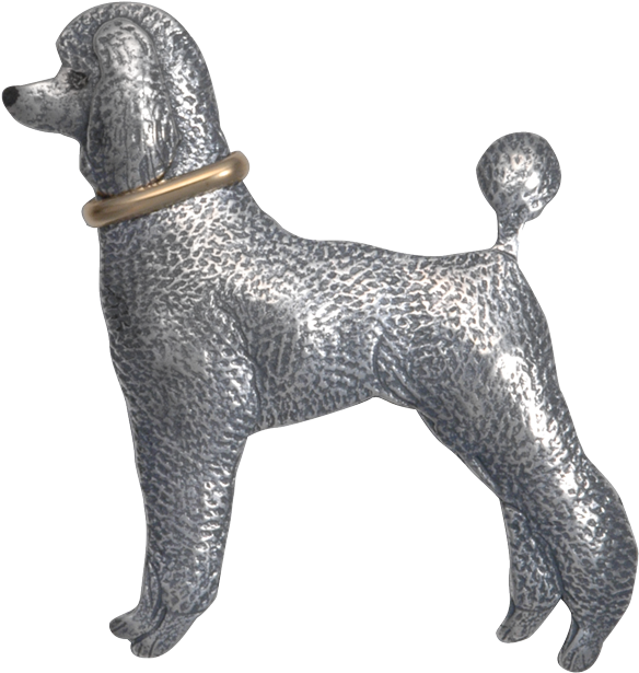 Poodle W/ Collar (640x640), Png Download