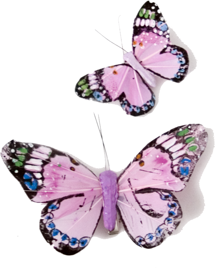Butterfly Png - Lots Of Butterflies Transparent (1000x1000), Png Download