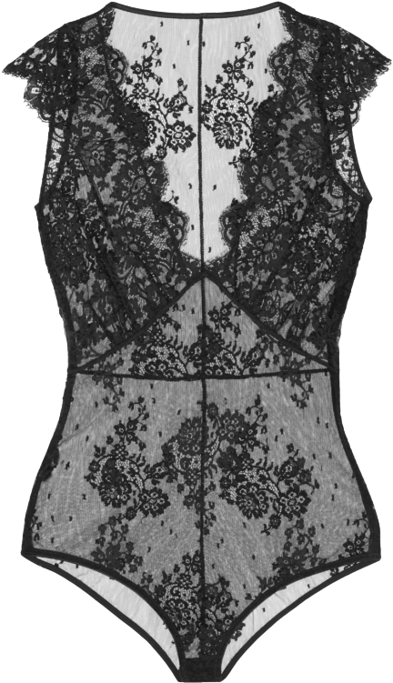 Transparent-lingerie - I - D - Sarrieri Bodysuit Body - Dark Grey Lace Bodysuit (500x750), Png Download