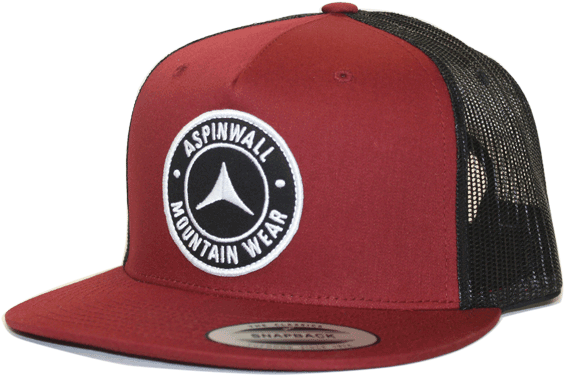Aspinwall Icon Hat Cardinal 1 - Detroit (672x800), Png Download