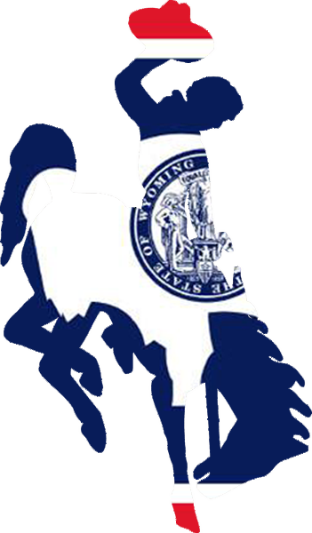 Steamboatflag Medium - Bucking Bronco Wy (351x600), Png Download