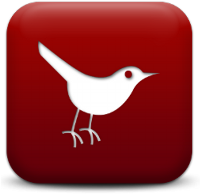 Cardinal - Twitter Bird (400x400), Png Download