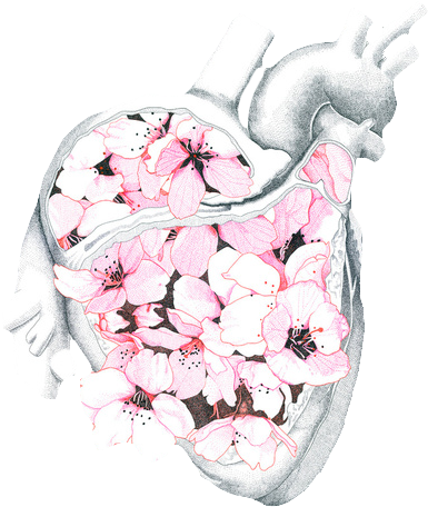 Transparent Png - We Heart It Medicina (462x600), Png Download