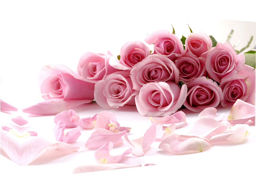 Pink Roses Superb Quality Box Canvas Wrapped Around - Rose Essential Oils Therapeutic Grade 100% Aromatherapy (900x597), Png Download