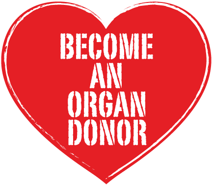 Organ Donor Heart - Organ Donation South Africa (432x378), Png Download