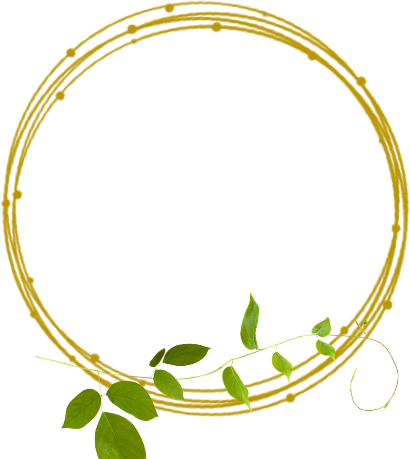 Golden Frame Frames Green Border Borders Leaves - Suga (1024x1024), Png Download
