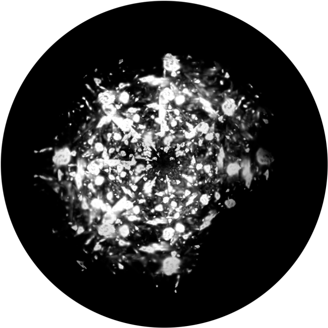 Download White Lights White Lights Apollo Glass Gobo sr0228