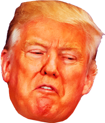 The Free Press Wv - Orange Donald Trump Png (355x400), Png Download