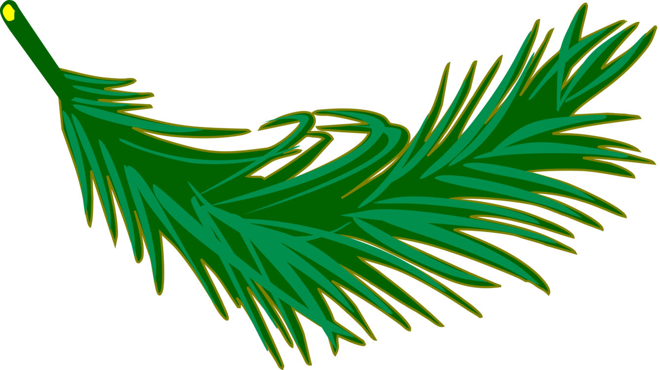 Palm Trees Palm Branch Palm-leaf Manuscript Frond - Palm Frond Clipart (1337x750), Png Download
