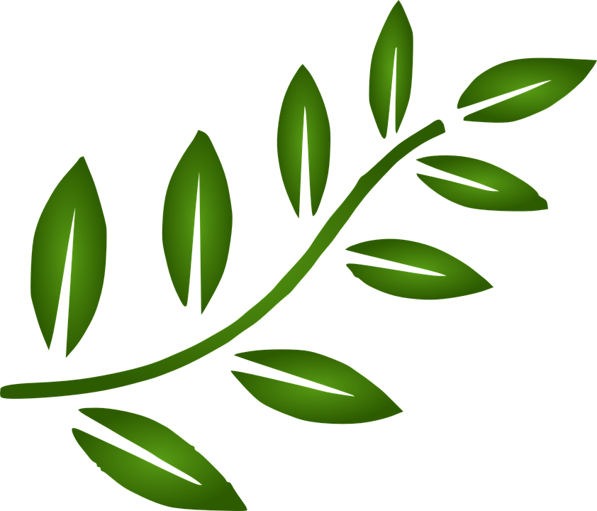 Leaf Google Search Ideas Cafeteria Pinterest Leaves - Black Leaves Clip Art (600x513), Png Download